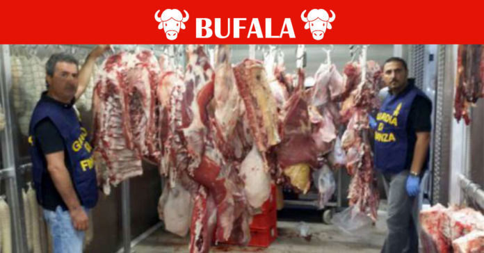 carne bovina infettata da AIDS