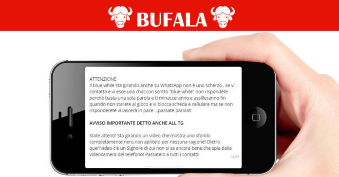 blue while whatsapp blue while whatsapp