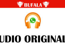 Il ragazzo con il volto un pochettino indemoniato del gioco dello squalo